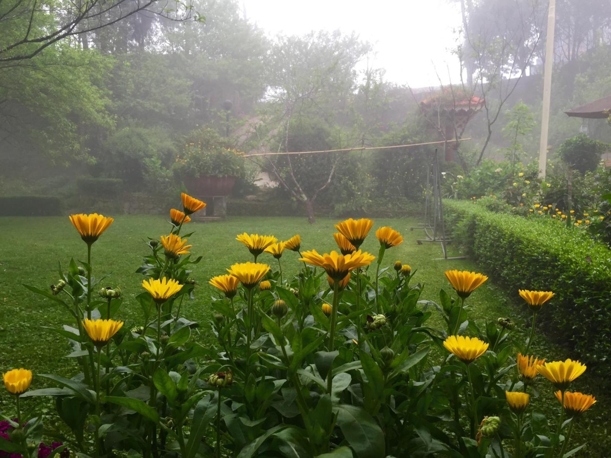 Sapa Garden Bed And Breakfast Exterior foto